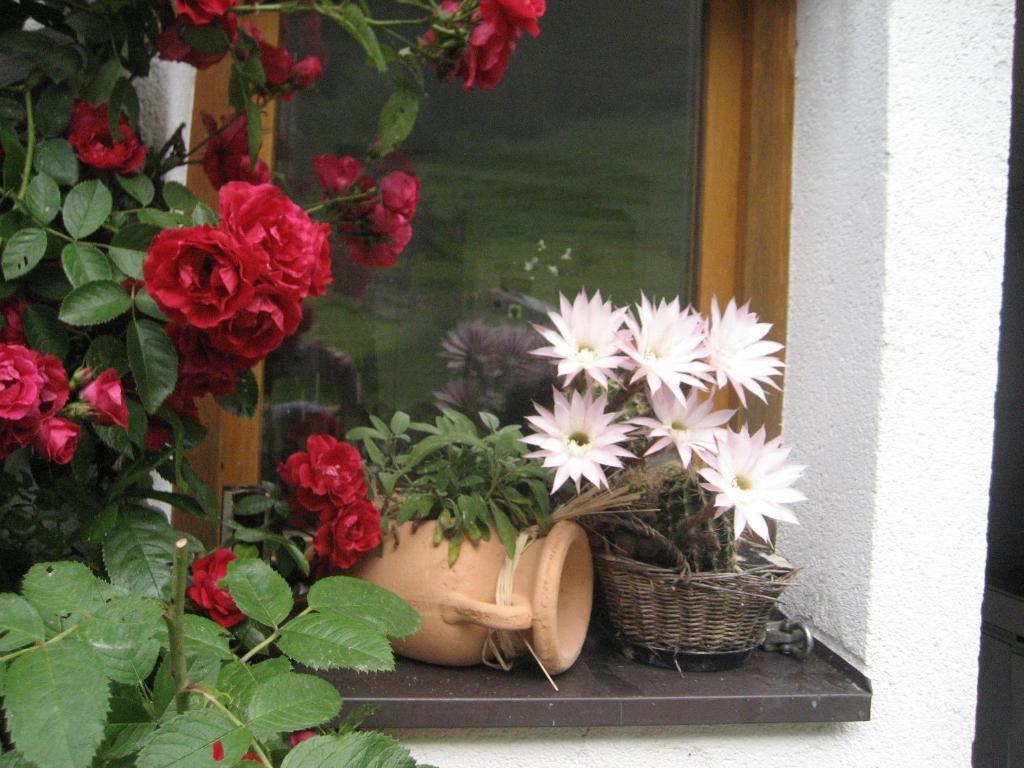 Apartamento Hinterankerwald Walchsee Exterior foto
