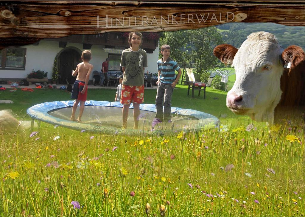 Apartamento Hinterankerwald Walchsee Exterior foto