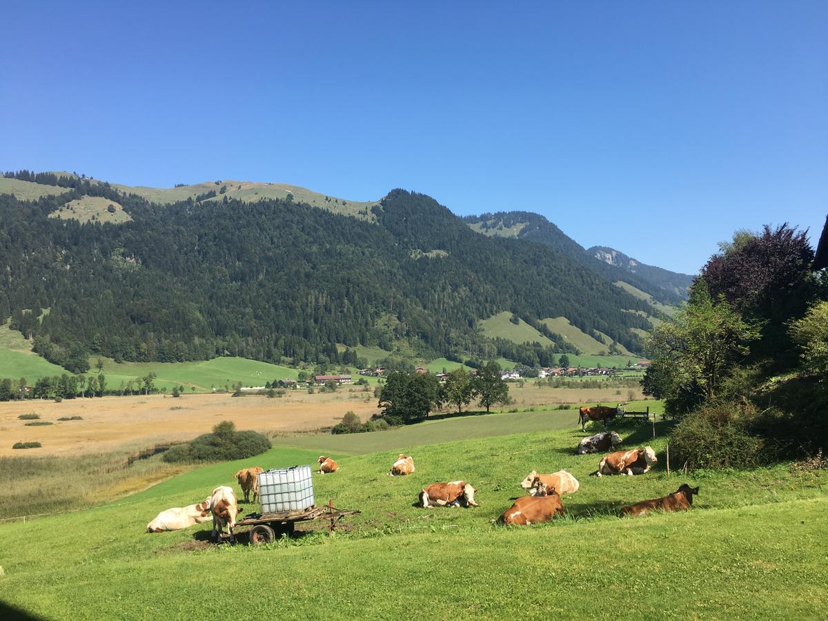 Apartamento Hinterankerwald Walchsee Exterior foto